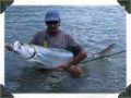 Bonita Springs Tarpon Fishing Charters